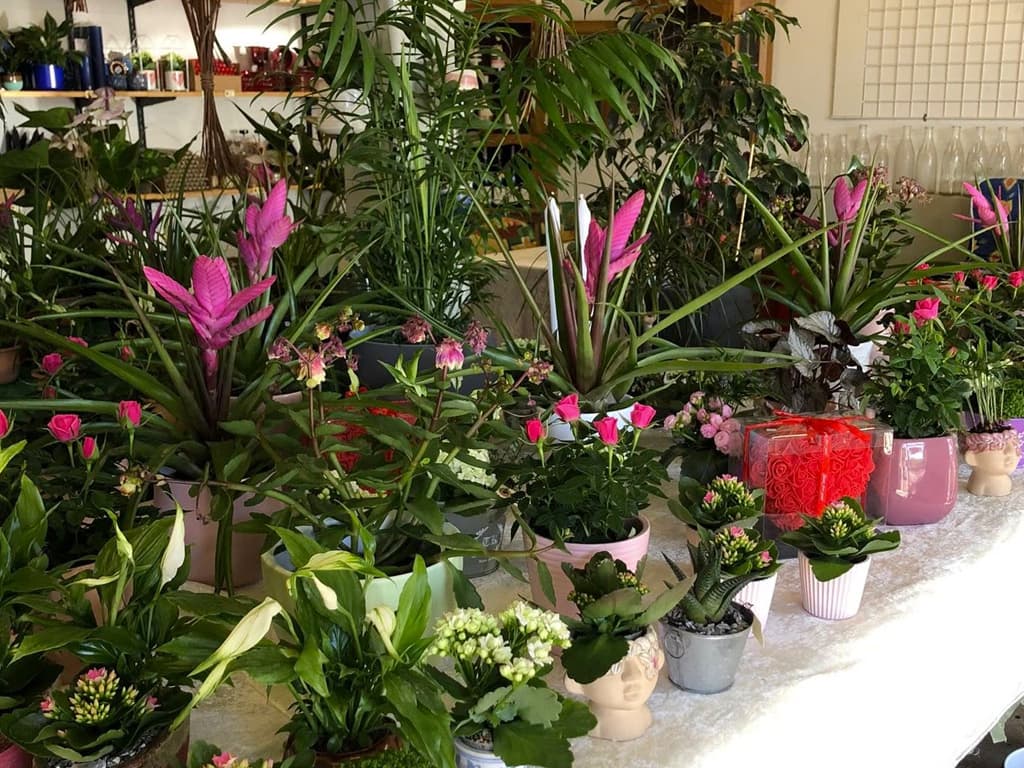 Tved's Blomster i Lohals